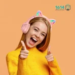 هدست بیسیم بروفون مدل BO18